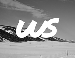 Brand Introduction